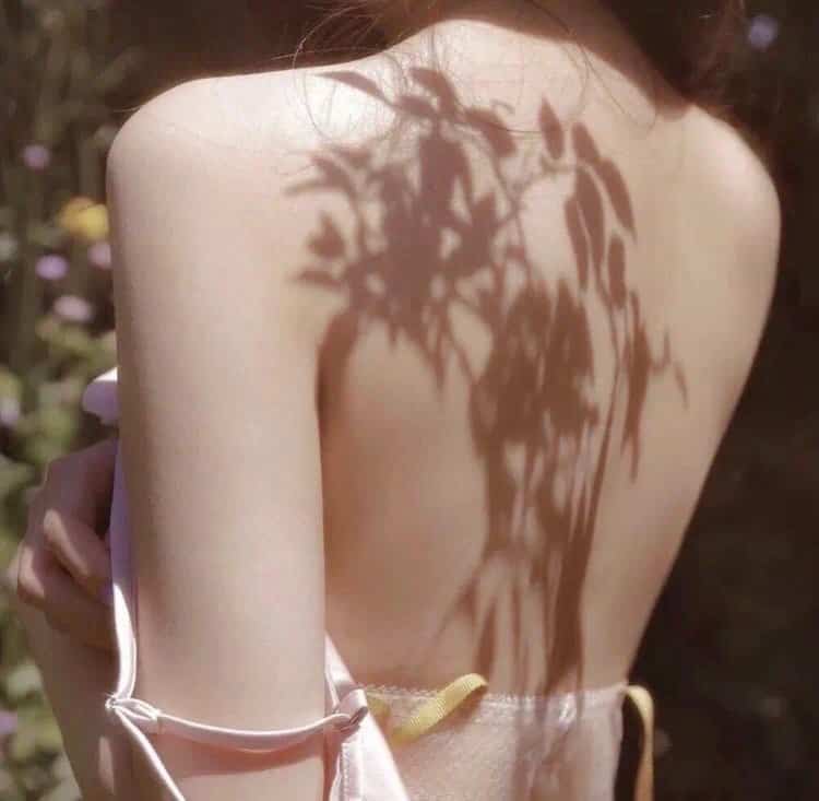 悬疑惊悚:消失的真相